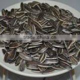 SUNFLOWER SEEDS thumbnail-2