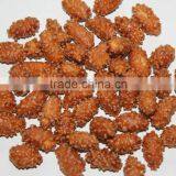 Wholesale Top Quality Export Popular Coated Peanuts