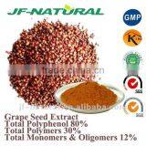 100% Natural Grape Seed Extract High Content Opcs Manufacture ISO, GMP, HACCP, KOSHER, HALAL Certificated thumbnail-3