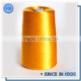 China Supplier 250D Best Embroidery Thread for Brother Machine