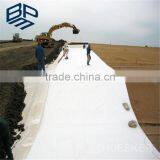 250g/m2 Needle Punched High Strength Non Woven Geotextile for Road Construction