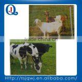 PIG FENCE thumbnail-1