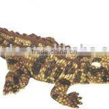 Crocodile Plush Toy thumbnail-1