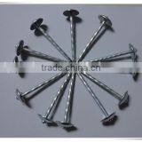 Hot Sales! China Factory Supply High Quality Galvanized Umbrella Head Roofing Nails thumbnail-4
