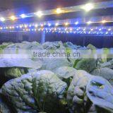 MarsHydro Marsii Led grow light 60 120cm bar full spectrum led grow light