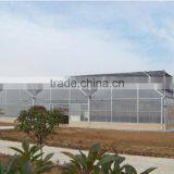 Agricultural Greenhouse With Film for Growing thumbnail-1