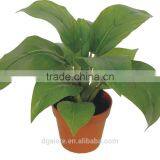 Artificial Green Bonsai Philodenron Selloum Koch WB10-13J-GN ( Plant Bonsai Flower Tree of Este ) thumbnail-1