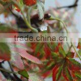 Lighting Bulb Christmas Decoration Indoor Small LED Maple Bonsai thumbnail-5