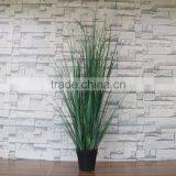 Plastic Couch Grass Bonsai thumbnail-1