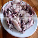 Frozen Baby Squid Loligo Japonica With Good Quality From Long Term Supplier thumbnail-1