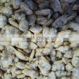 IQF Delicious Paphia Undulata Frozen Clam Meat Shell off thumbnail-3