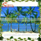 2015 New Products Large Artificial Coconut Palm Tree for Home Garden Sealand thumbnail-2