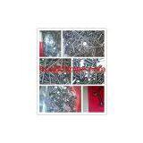 316 Pan Head Bolt thumbnail-1