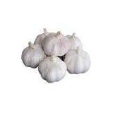 Red Garlic From China thumbnail-1