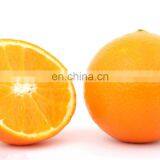 Factory Price Automatic Orange Juicer thumbnail-2