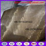 Copper Clad Steel Wire Continous Filter Belt Screens for Italy Screen Changer Machine in Plastic Industry Made in China