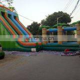 Commercial Big Water Slides for Sale , Large Inflatable Water Slide for Adult , Inflatable Slides thumbnail-4