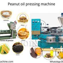 High efficiency peanut cooking oil press machine