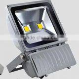 Hot Sales Outdoor 100w