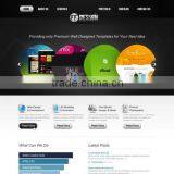 Web Design Services