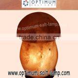 HIMALAYAN SALT LAMP - MUSHROOM SHAPE
