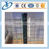 Factory low price holland welded wire mesh for fence