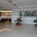 Zhangzhou Forchance Industrial & Trade Co., Ltd. company overview - view 3 thumbnail