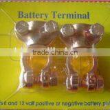 Aluminum Alloy P&N Top Post Battery Terminal(Copper Plated) thumbnail-1