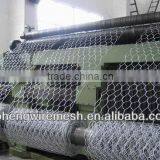 High Quality Hexagonal Wire Mesh (directe Factory)