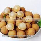 Vietnam Amazing Longan thumbnail-4