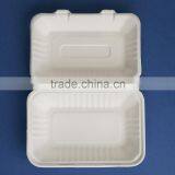 9"X6" Sugercnae 2 Compartments Clamshell thumbnail-3