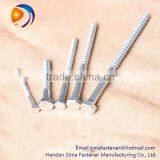 Zinc Palted DIN571 Hexagon Head Wood Screw Coach Screw thumbnail-6