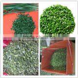 Best Selling of IQF LEEK Export to Europ thumbnail-2