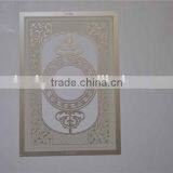 Economic Hot Selling Aluminum Mesh Gutter Guards