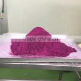 Dry Fruit powder Export to US : Vacuum Freeze Dried Red Dragon fruit powder from Thailand