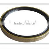 Professional Manufacturer of Oil Seal