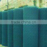 Poultry Farm Mesh/ Hexagonal Wire Mesh Screen