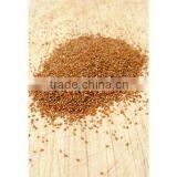 Teff Djibouti Fresh Soft Wheat thumbnail-1