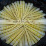 Bamboo Shoot thumbnail-1