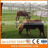 Agriculture PVC Fabric 6*6*3.7m Span Cattle Shelter thumbnail-5