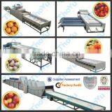 Citrus Processing Equipment / Kiwi Grader Machine in Zhengzhou thumbnail-1