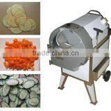 Practical and Multi-function Vegetable Dicing Machine