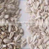 CCD Camera Grain / Sunflower CCD Camera Color Sorter thumbnail-6