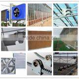 Low Cost Tropical Greenhouse Commercial With Cooling Pad and Fan thumbnail-1