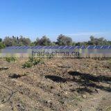 220V & 380V AC Electric Water Pump by Solar Energy System Max. Flow 500m3/h thumbnail-3