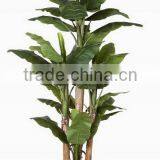 SJ0301115 Ornamental Landscaping Aquarium Plants Garden Decorative Green Plants thumbnail-5