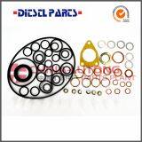 Engine Fuel Injector Repair Kit 2 417 010 008/800017 For Ve Pump Parts Rebulid Kit thumbnail-1