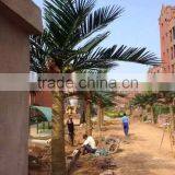 Artificial Palm Tree for Decoration China Fake Garden Fiberglass Tree Decor thumbnail-4