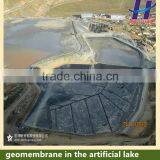 HDPE Geomembrane of Cheap Price for Pond Lake Dam Vertical Farming Waterproof Liner thumbnail-4