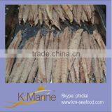 New Processing Tuna Skinless Loins Lot Number#kml4195 thumbnail-1